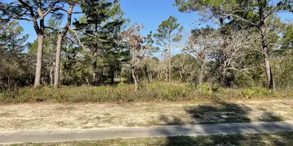 131 Laughing Gull Lane