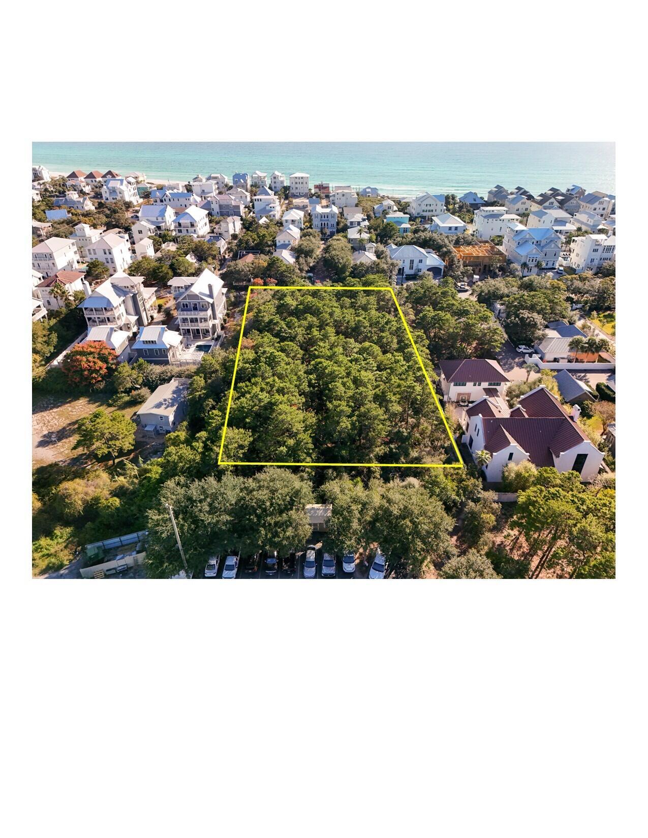 Image 4: Inlet Beach aerial-South view