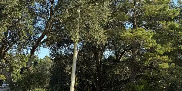 Image 2: View from Street