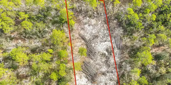 Image 3: TBD Bay Grove Rd Freeport FL 32439 USA-0
