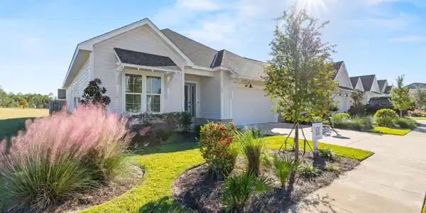 23 Green Heron Street