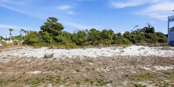 Image 4: 226 seagrass cir - awp media - 007