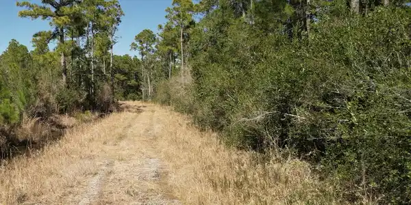 0000 Robinson Point Rd Road