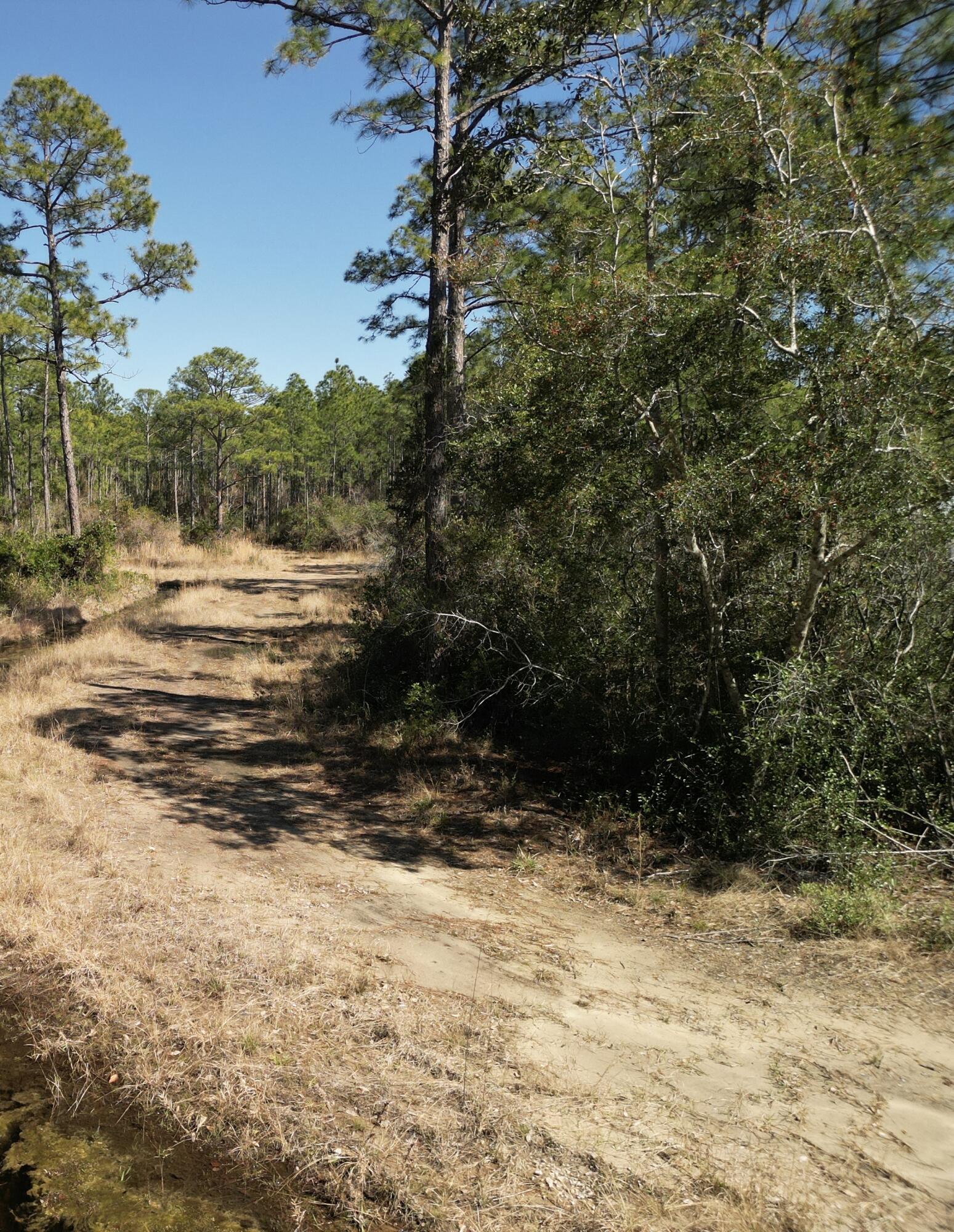 Image 4: dji_fly_20250225_142044_53_1740524615578