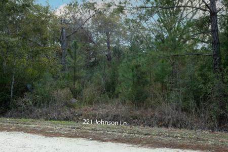 221 Johnson Lane
