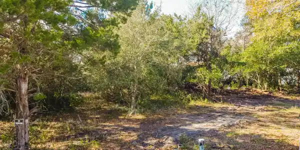 22235 Inlet Beach Court