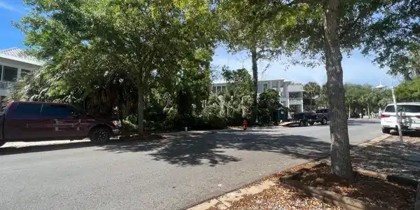 Image 3: IMG_2916