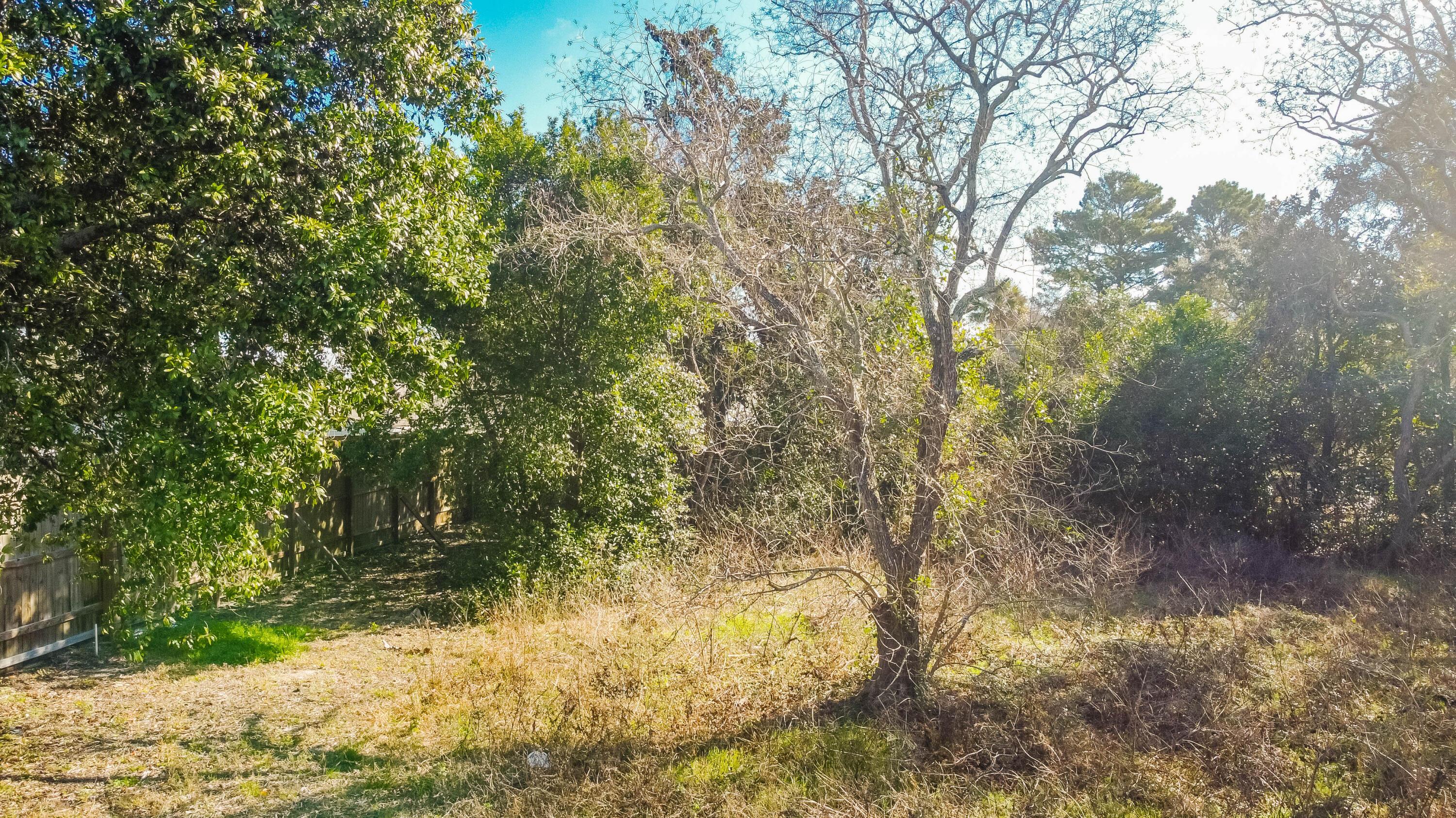 Image 3: DJI_0015