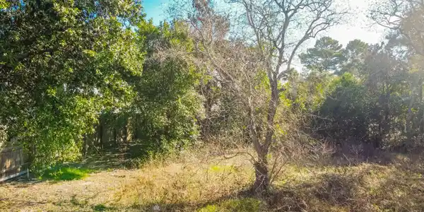 Image 3: DJI_0015
