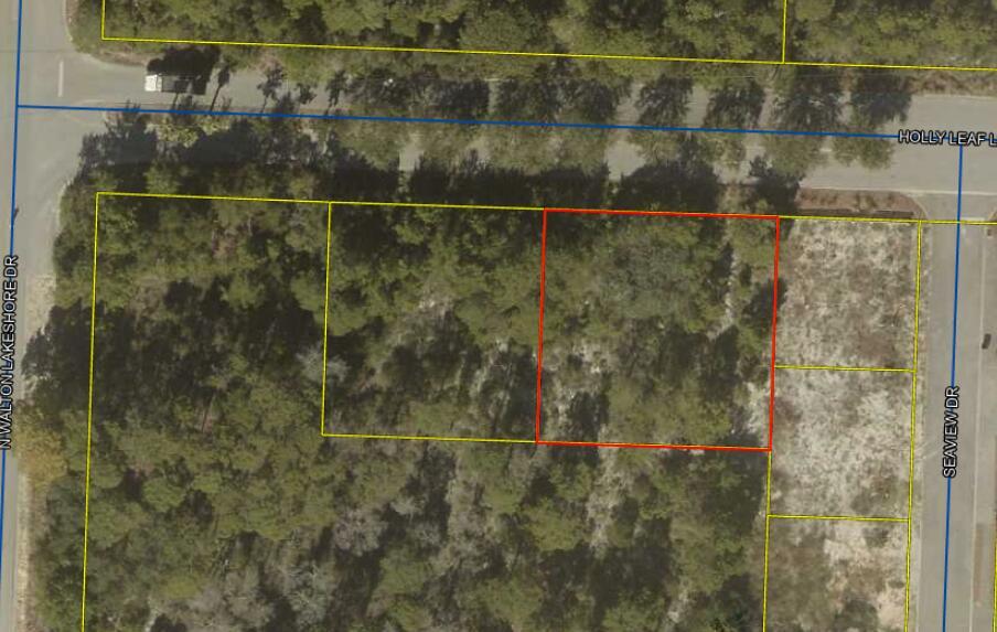 Image 2: 52 Holly Leaf Ln Aerial