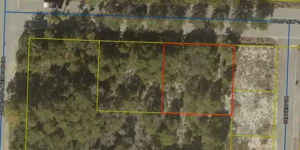 Image 2: 52 Holly Leaf Ln Aerial