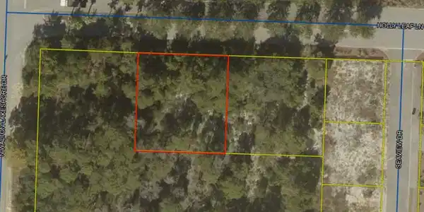 Image 2: Holly Leaf Ln Aerial