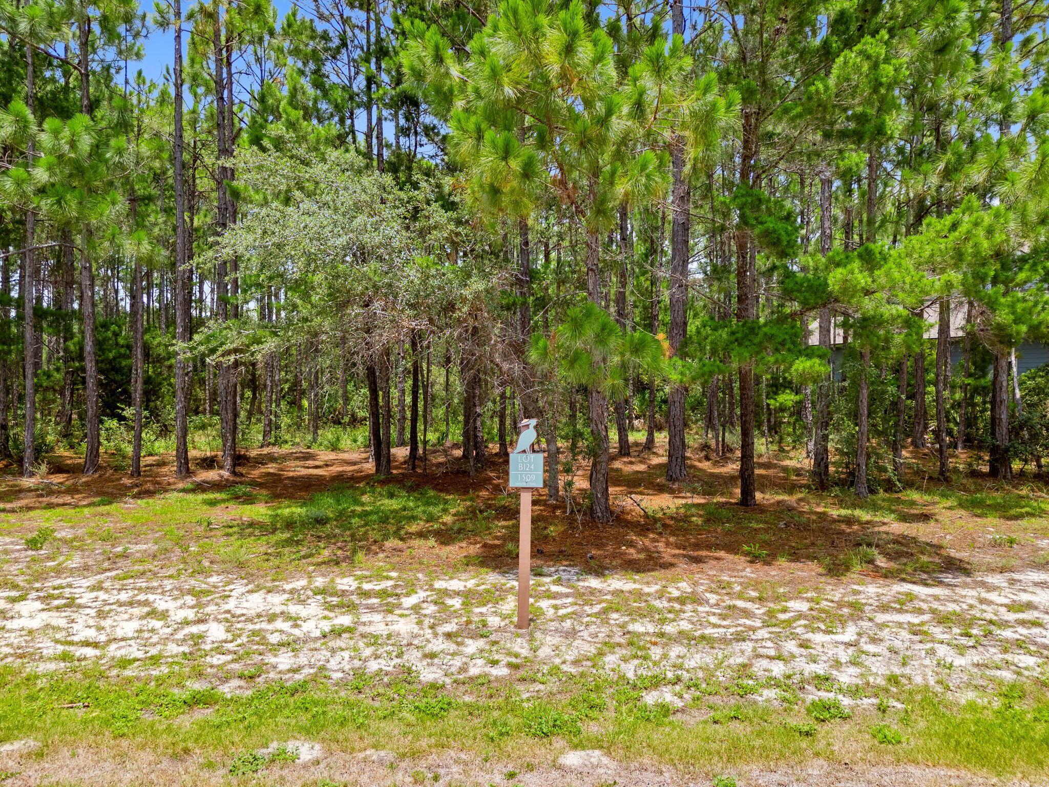 Image 2: 1-web-or-mls-PANHANDLE - 1509 SWEET BAY