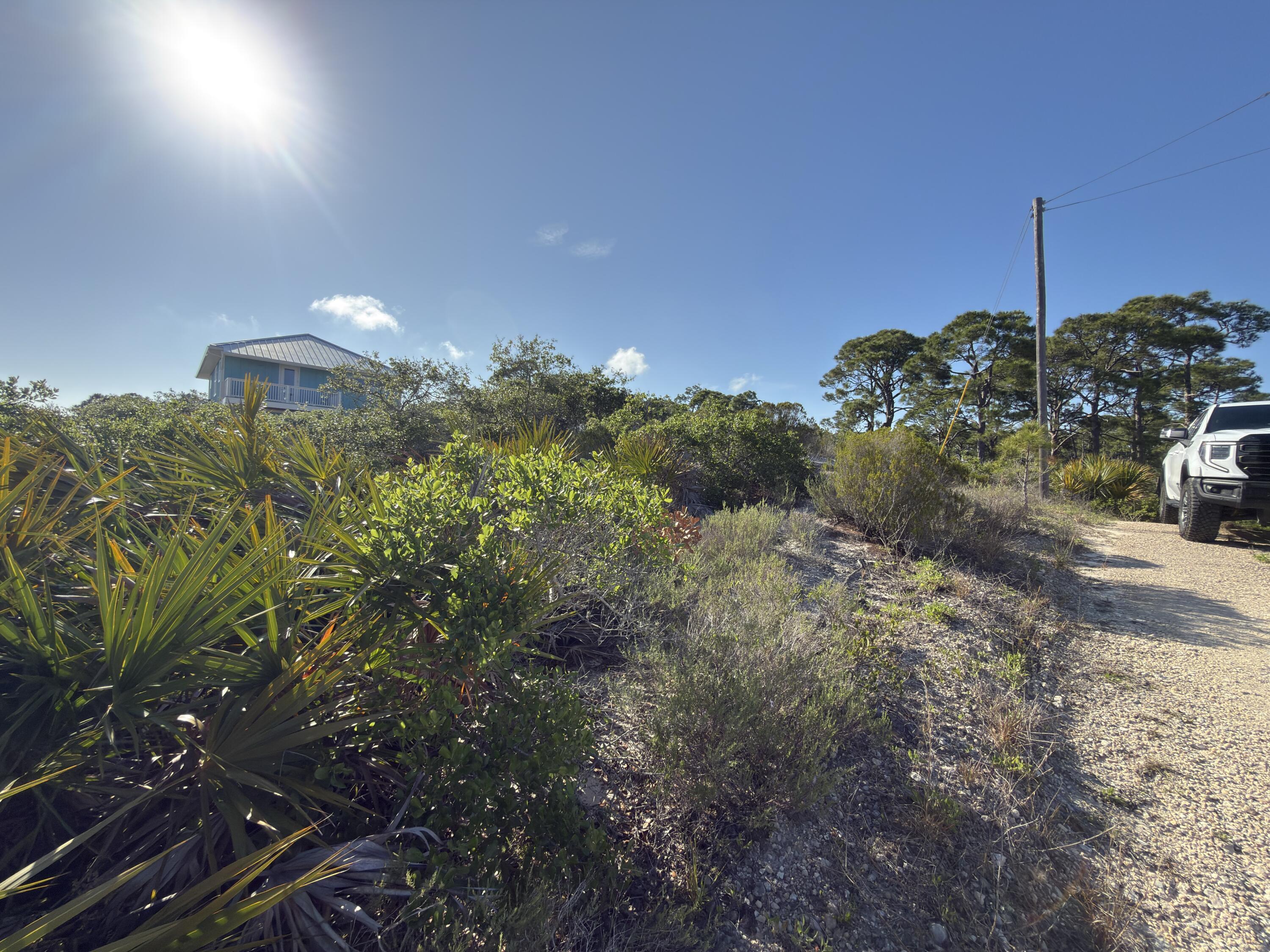 Image 4: IMG_7349