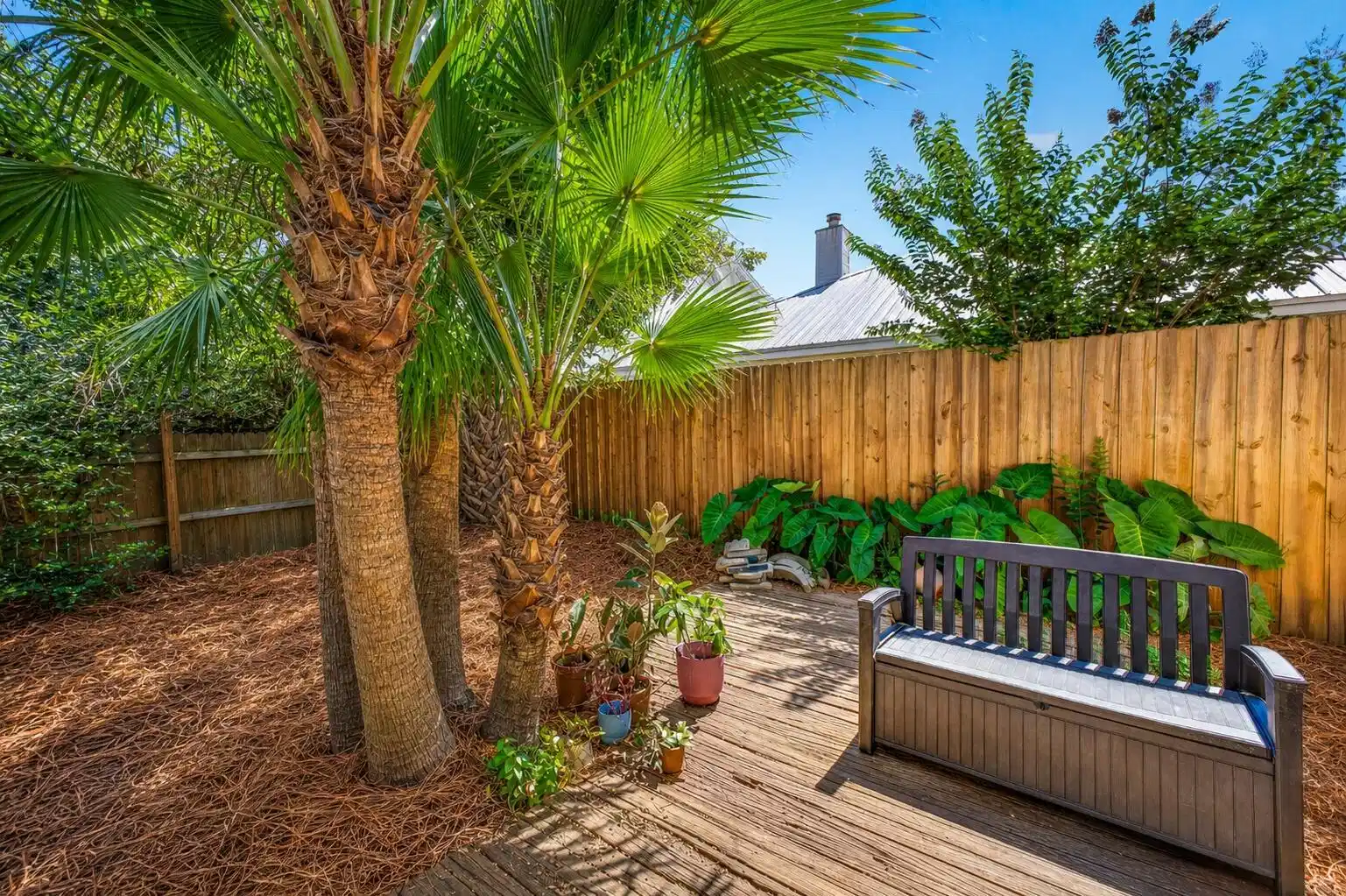 Image 1: backyard2