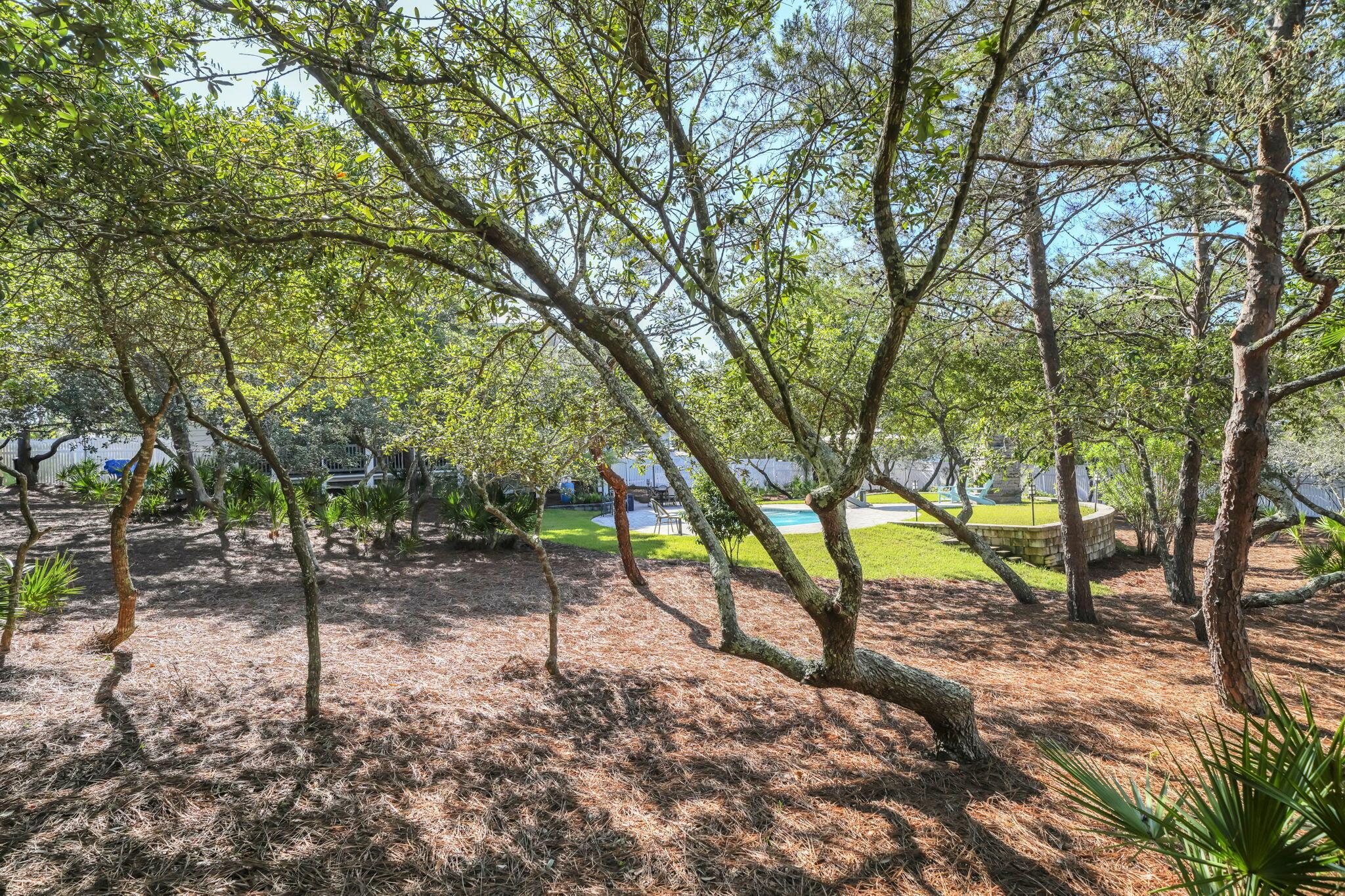 Image 3: 83 Mountain Top Dune Drive