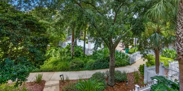 Image 2: garden view