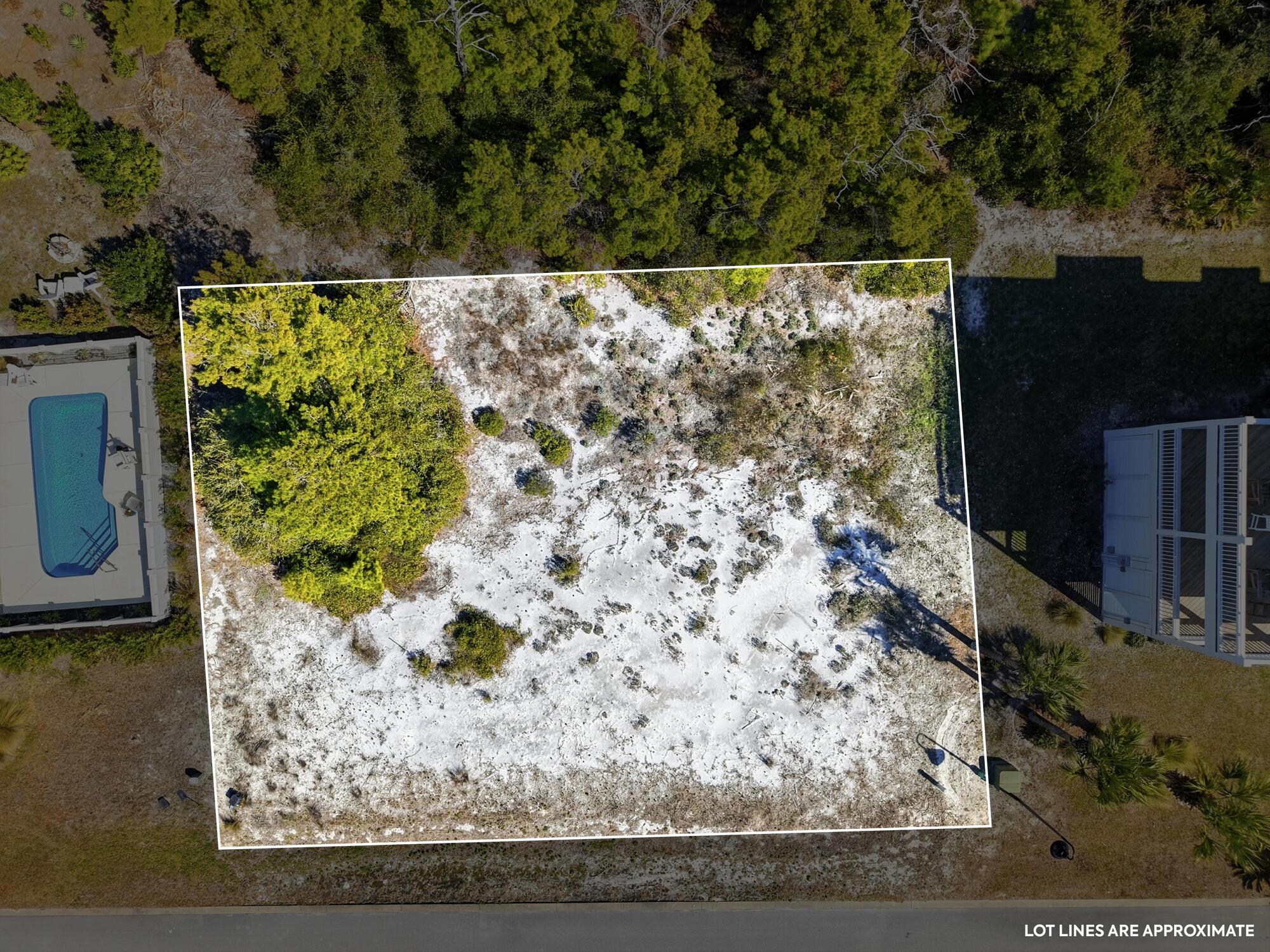 Image 2: 226 seagrass cir - awp media - 0001