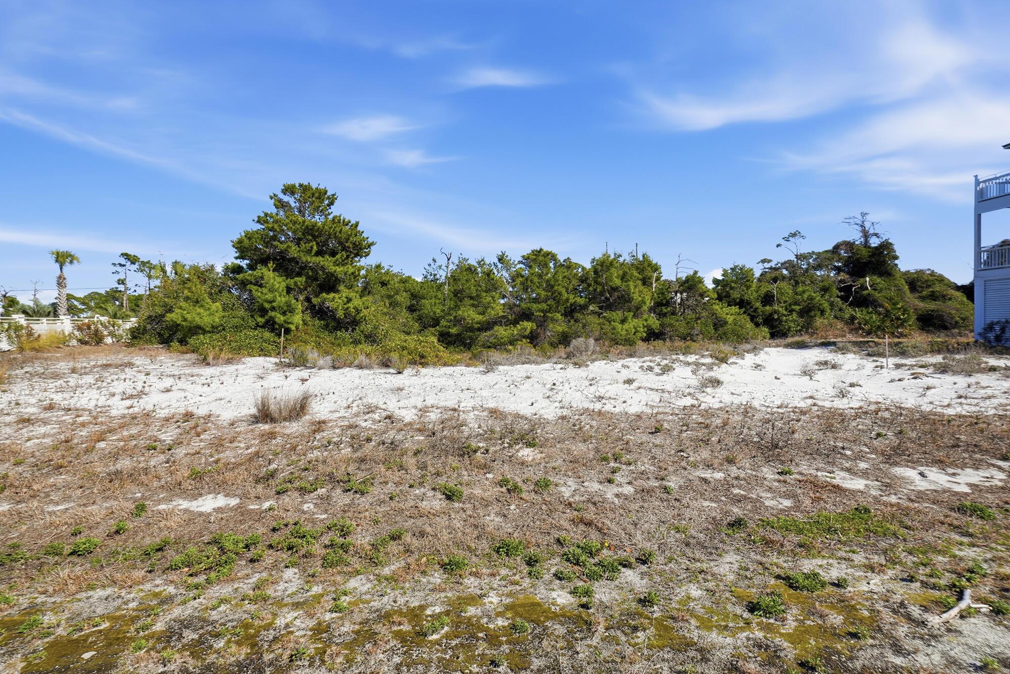 Image 4: 226 seagrass cir - awp media - 007