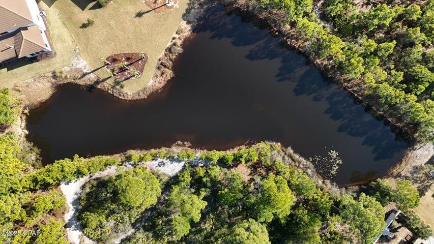 Image 2: Aerial Lakefront