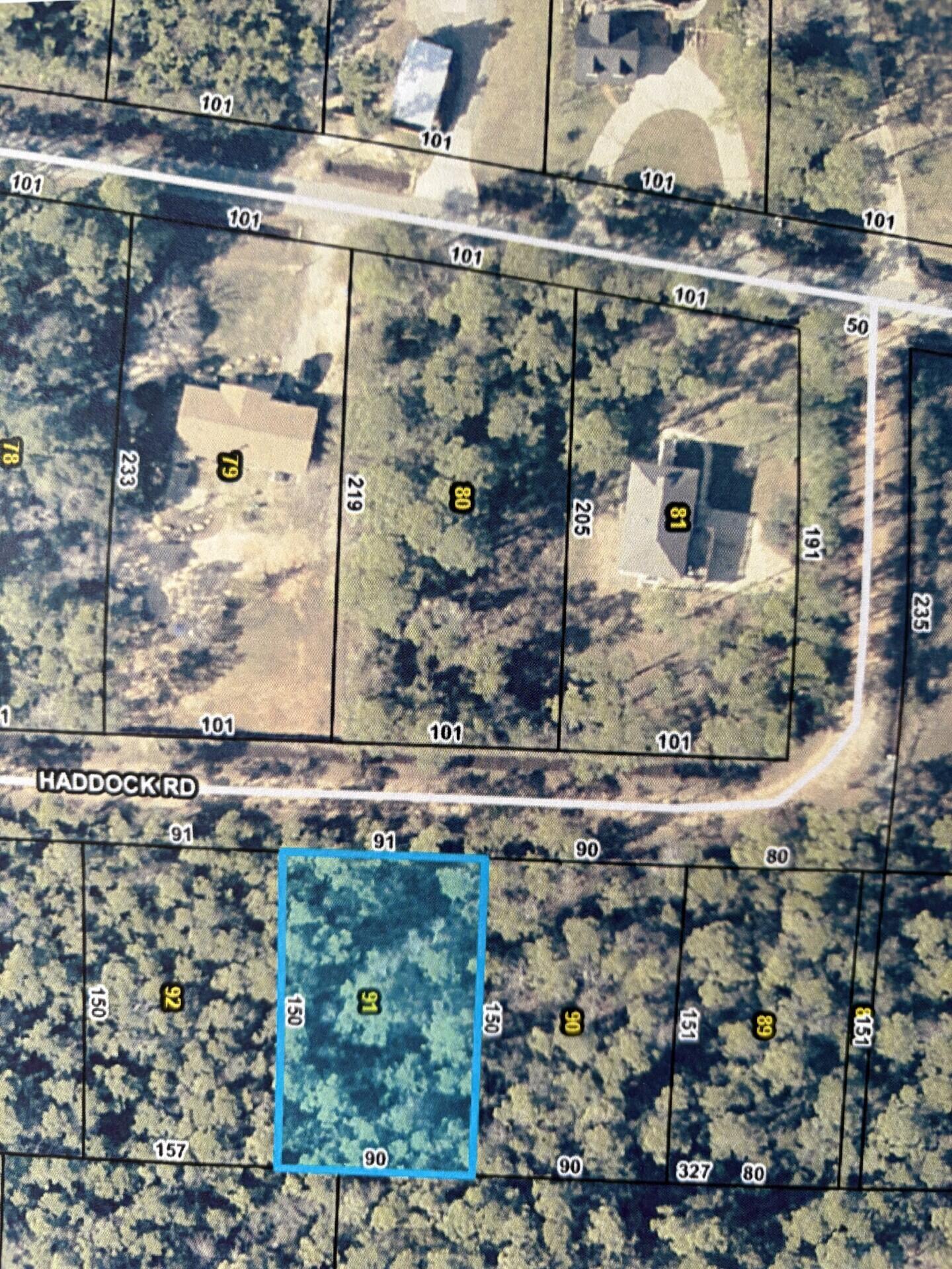 Image 1: Lot 91