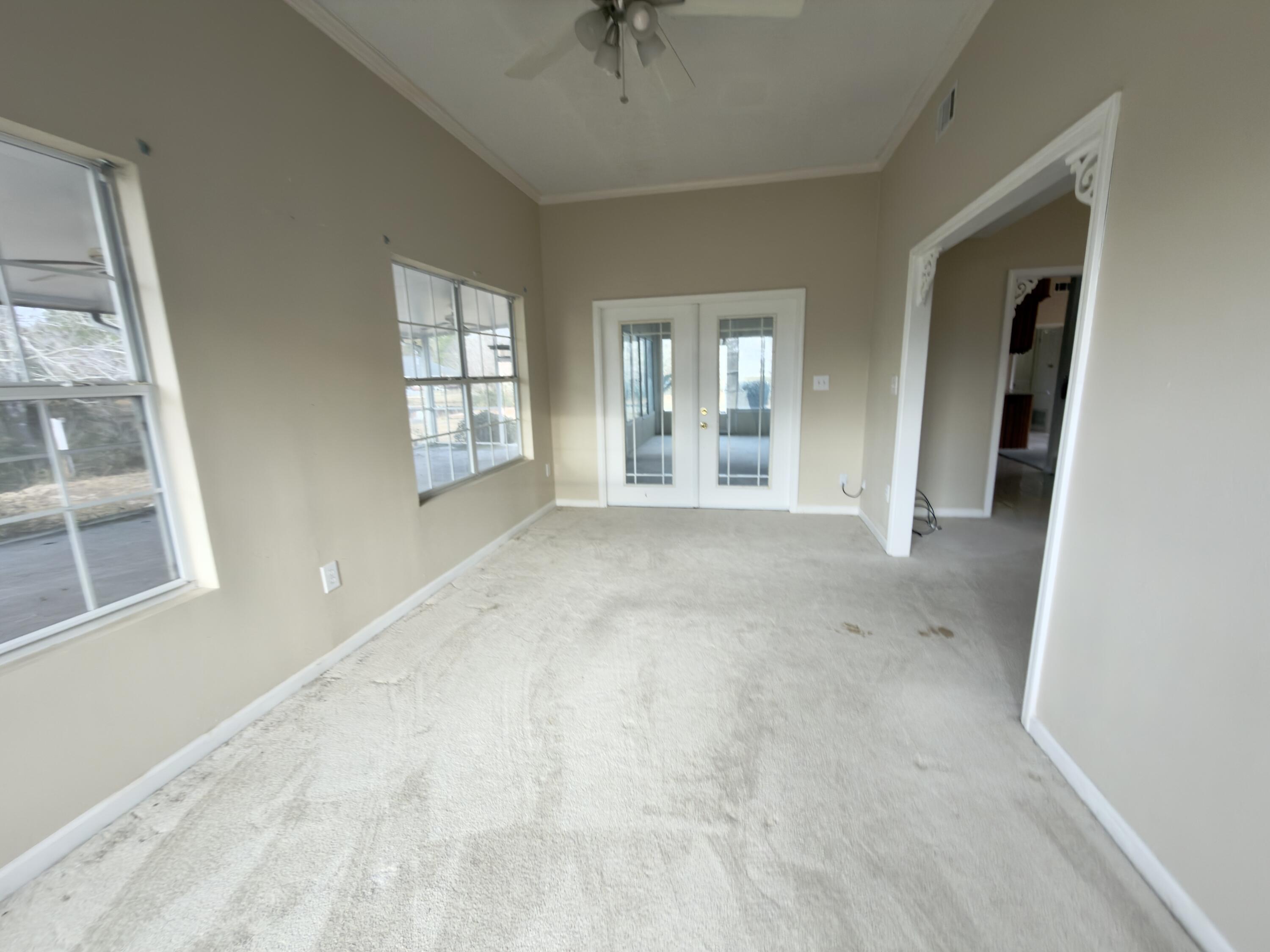 Image 3: IMG_4935