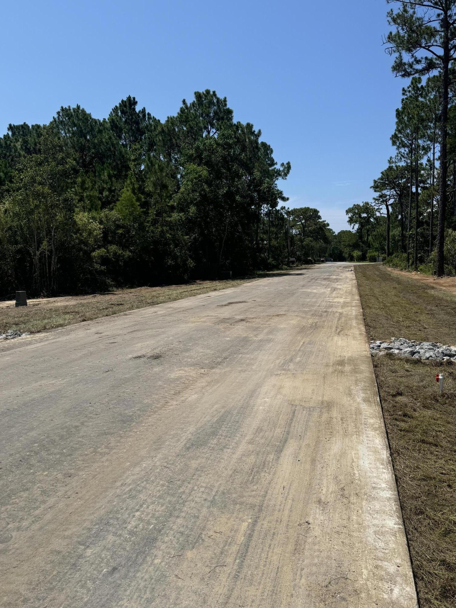 Image 3: Road