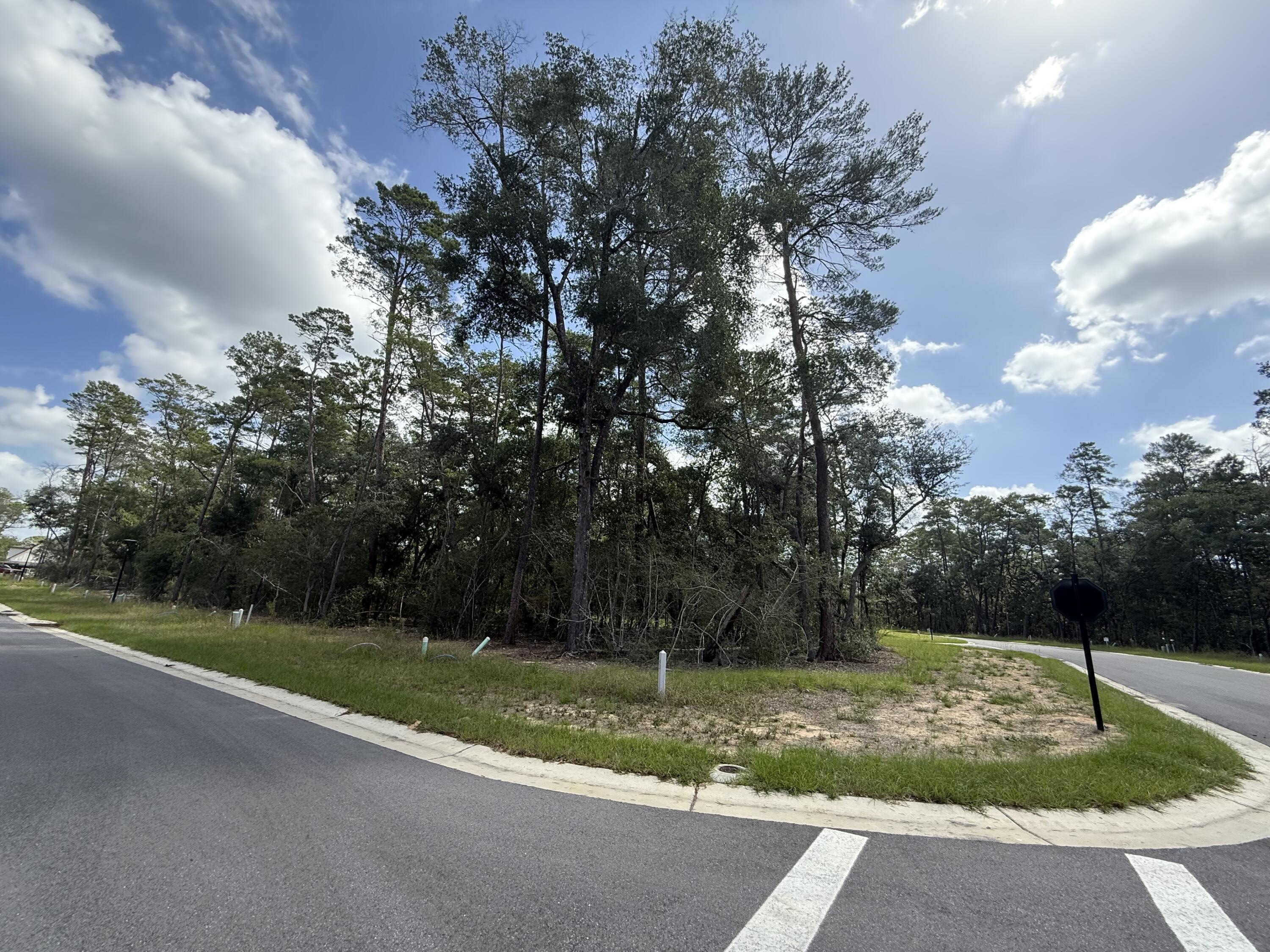 Image 1: 301 Yarrow Ln