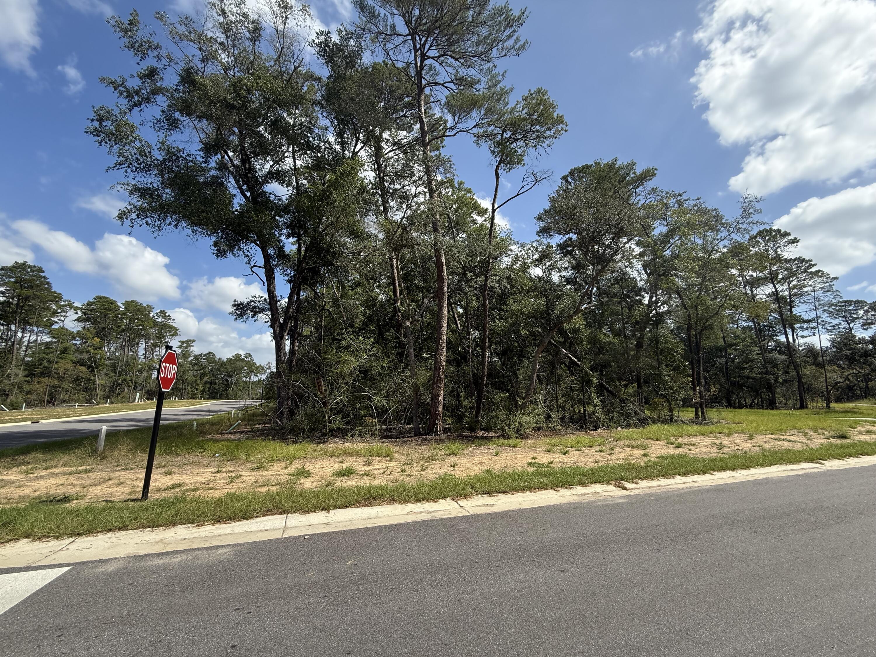 Image 2: 301 Yarrow Ln