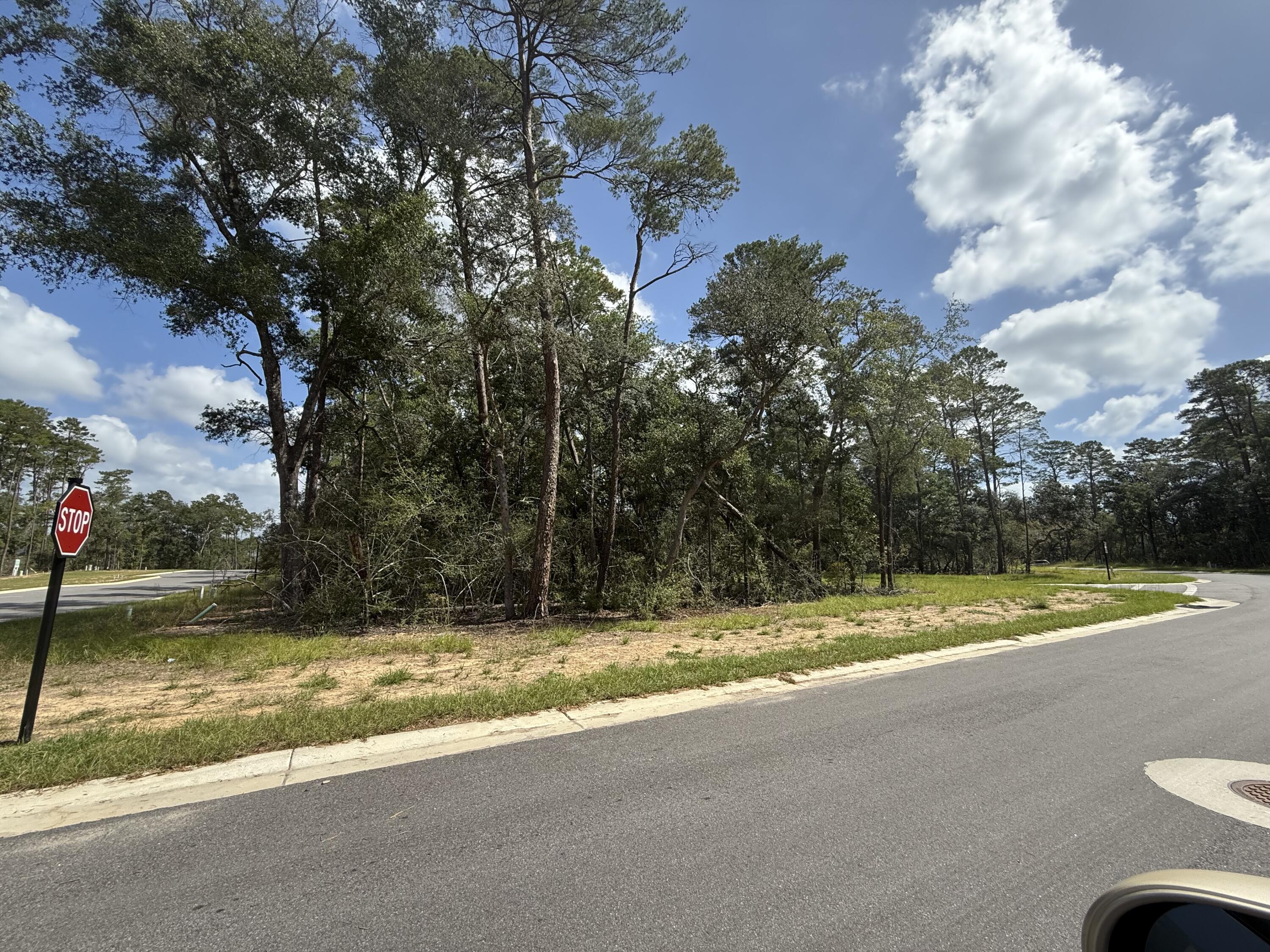 Image 3: 301 Yarrow Ln