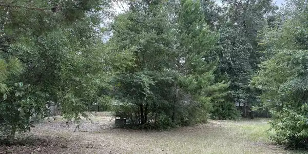 Image 3: nature!