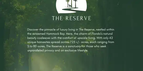 Image 2: Reserve 2