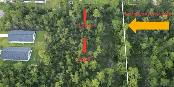 Image 4: Lot 4