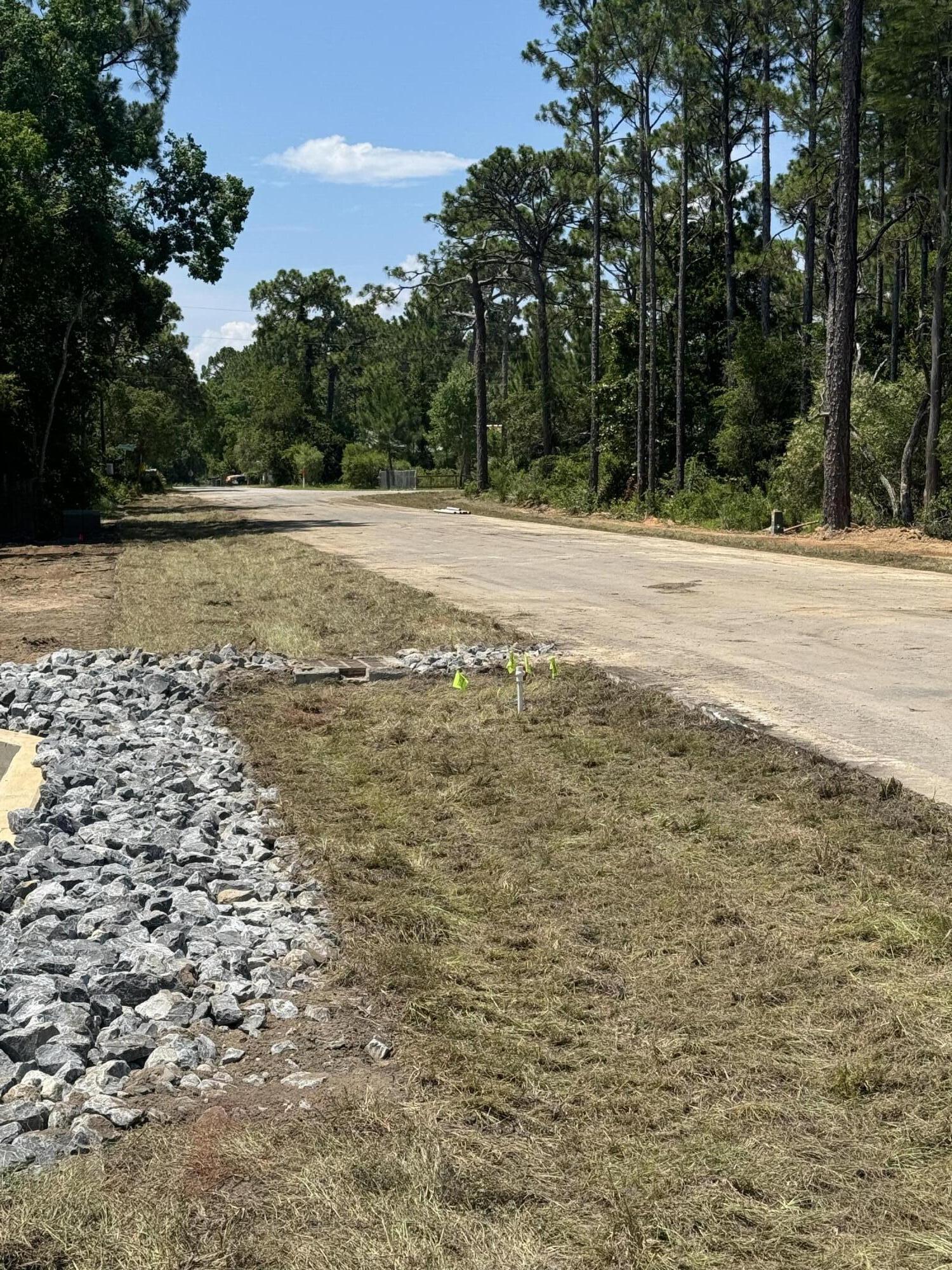 Image 3: Road