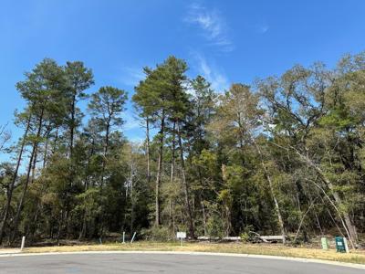 524 Caribou Court