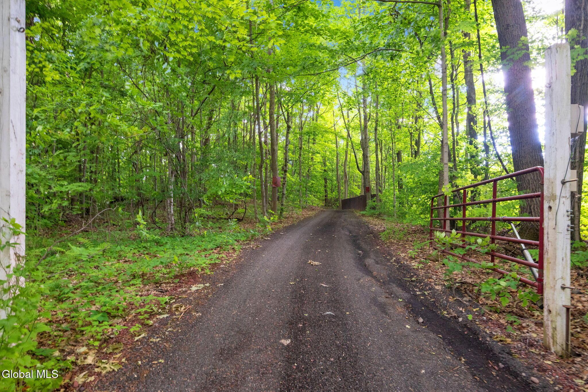 Image 3: 86-web-or-mls-31SaffordRd_86