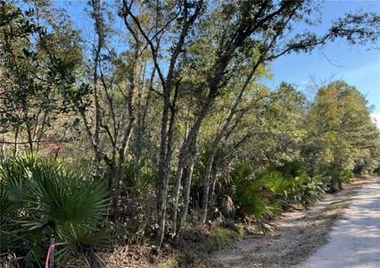 Deerwood Creek Estates Road