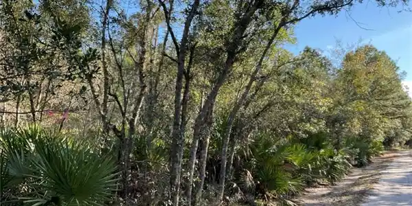 Deerwood Creek Estates Road