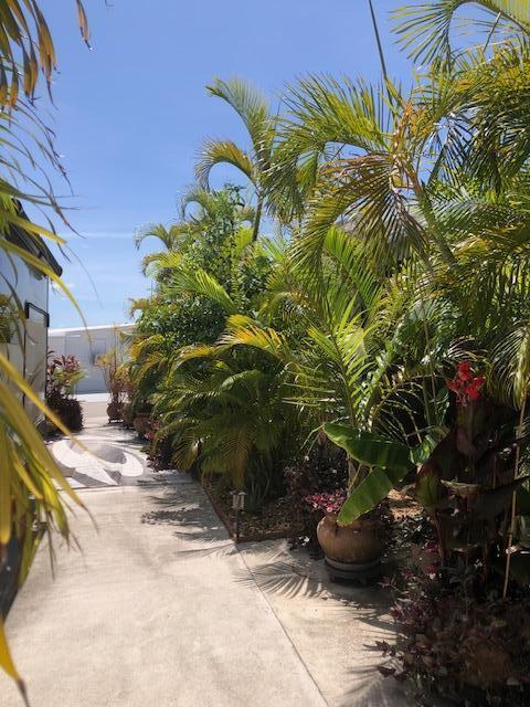 Image 2: View of lot facing East