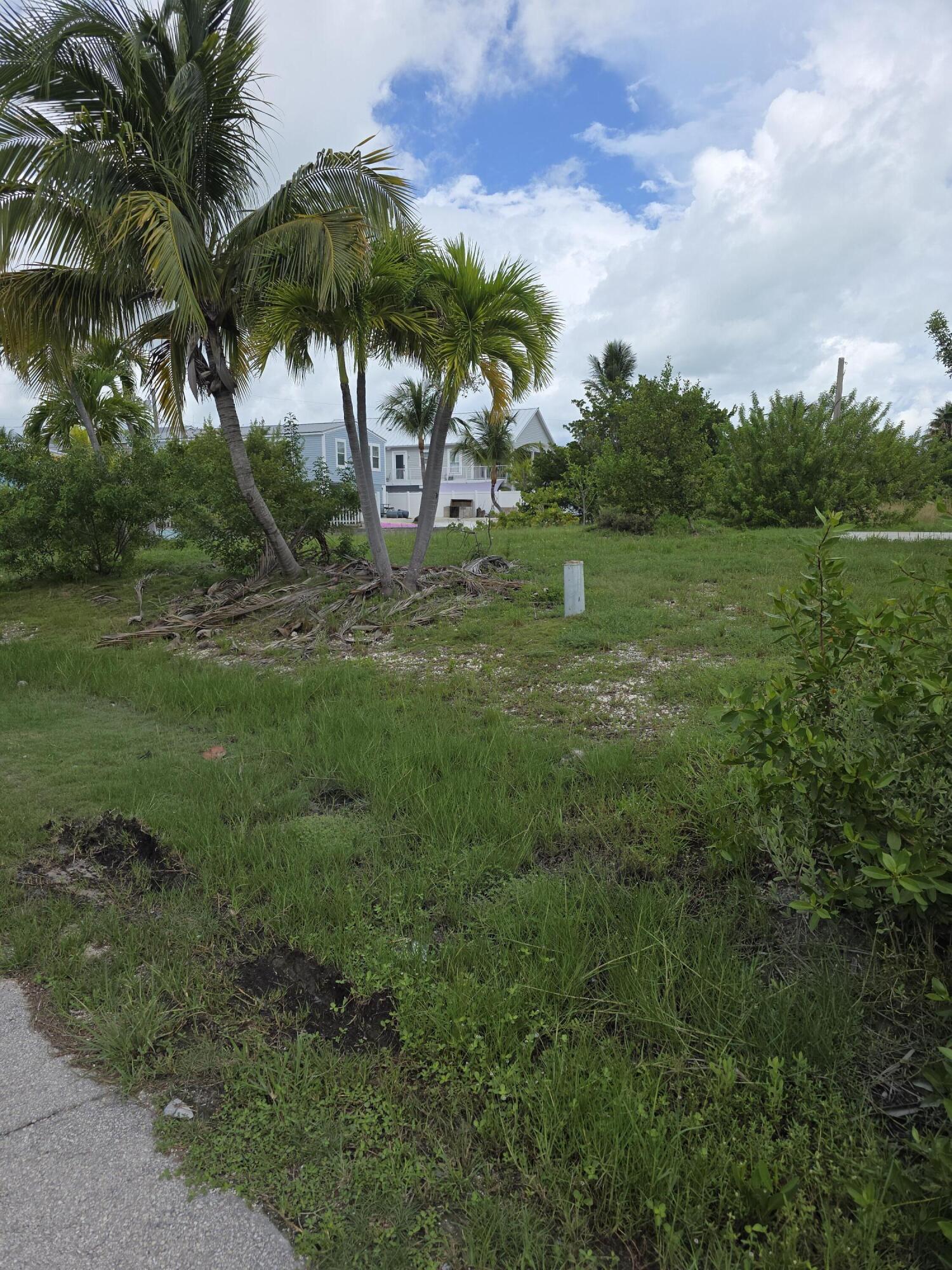 Image 3: 20250902_112451