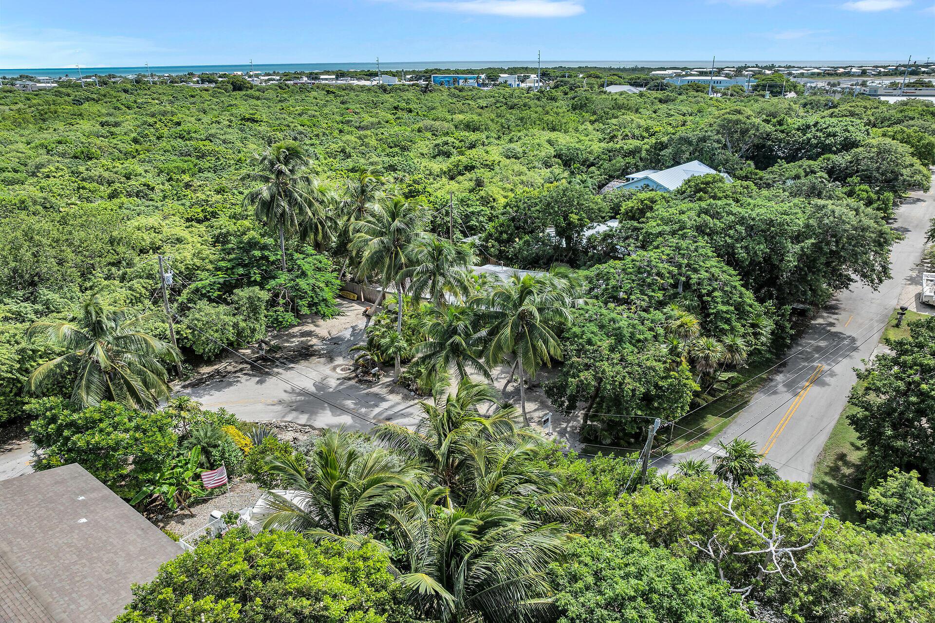 Image 3: Aerial of House