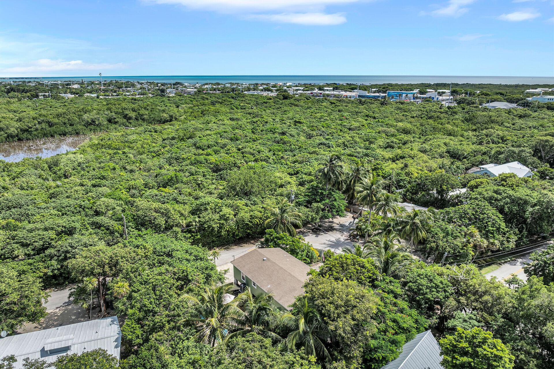 Image 4: Aerial of House