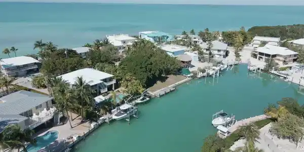 445 Palm Drive