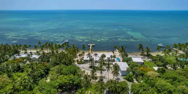 Image 4: Aerial