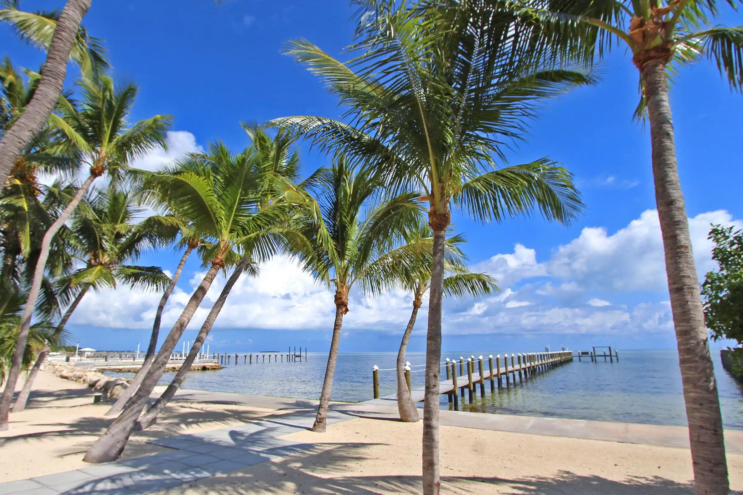 Image 1: Ocean Front