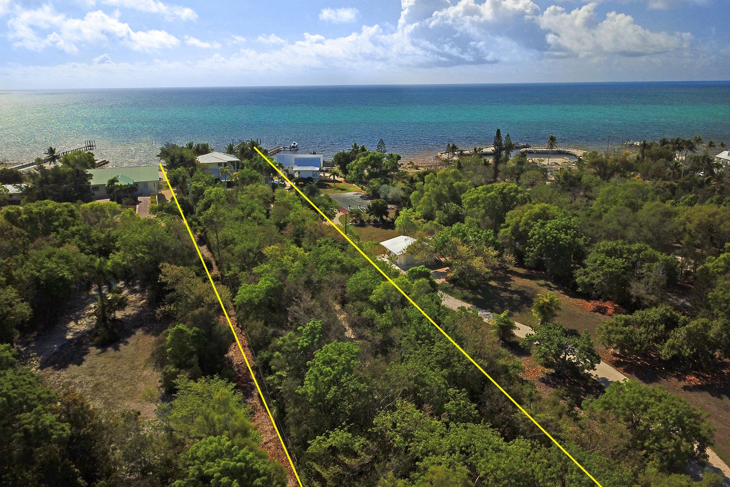 Image 3: 1.5 Acres