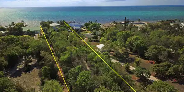 Image 3: 1.5 Acres
