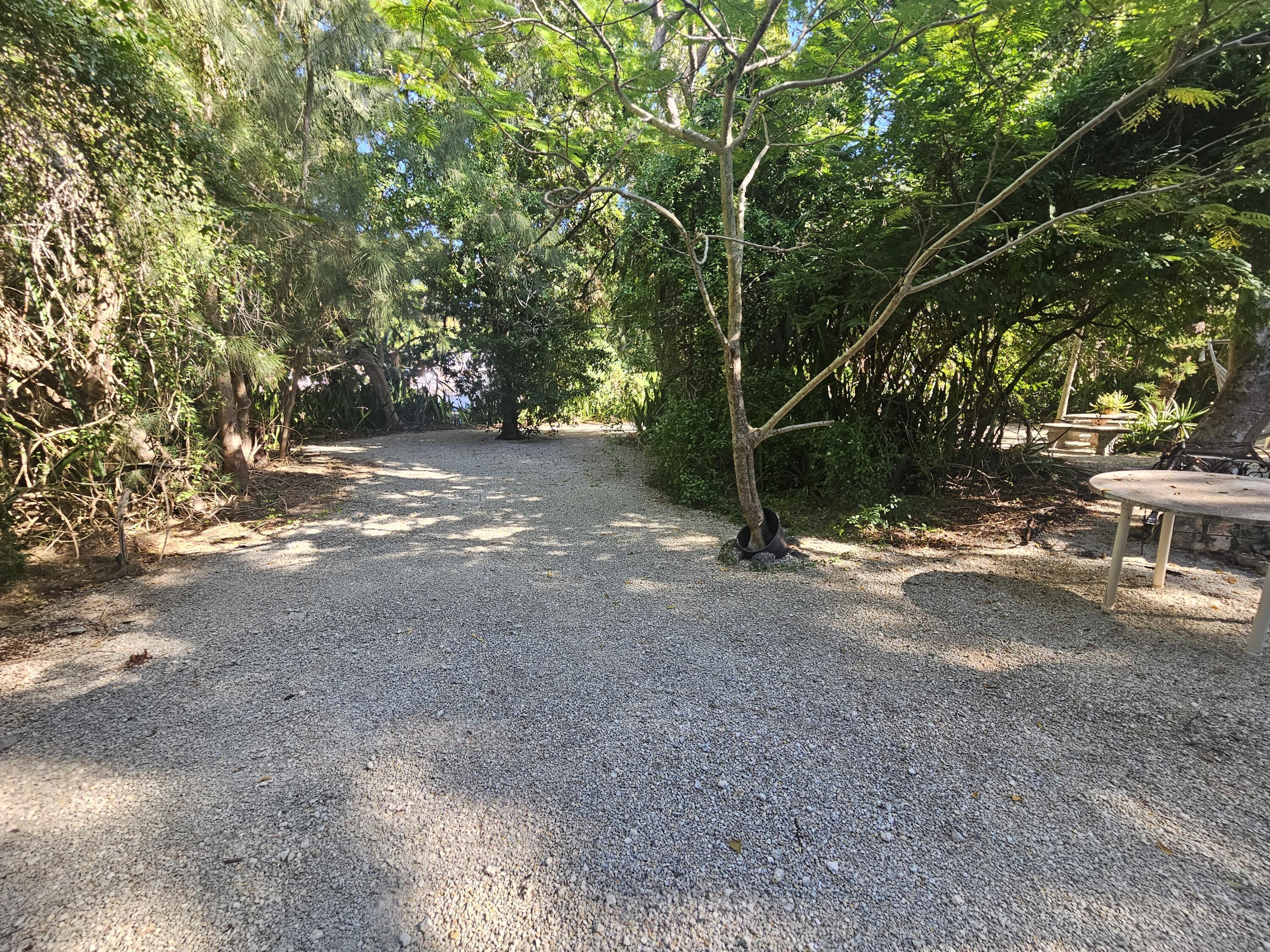 Image 4: Yard