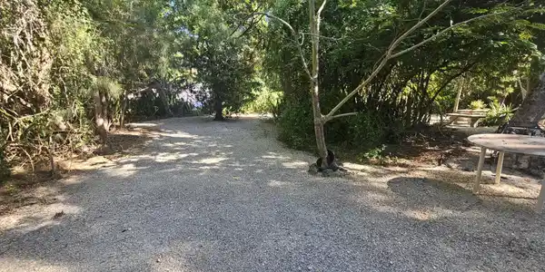 Image 4: Yard