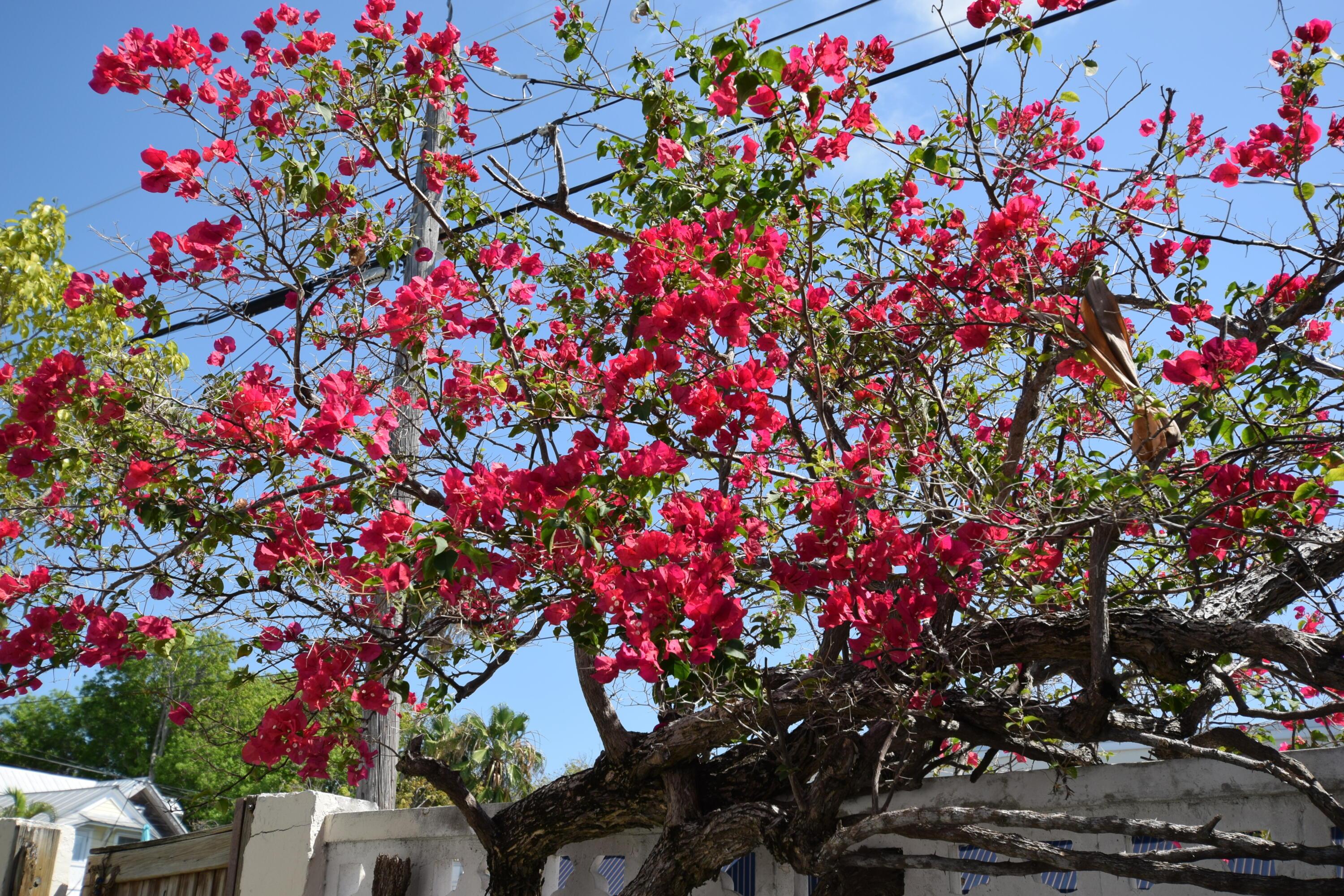 Image 2: DSC_0112